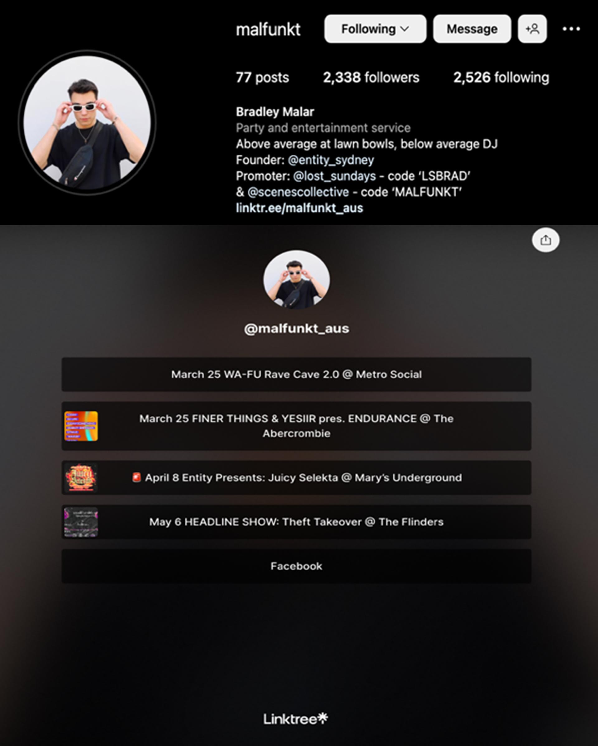 Sample Artist/DJ Instagram Profile